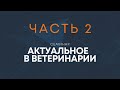 Семинар &quot;Актуальное в ветеринарии&quot; ч.2