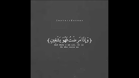 حالات واتس اب دينية || قران كريم بصوت رعد الكردي || تلاوات خاشعة || مقاطع دينية ||
