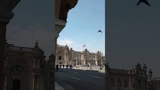 Palacio de Gobierno, Lima. Perú #travel #lima #peru #viral #trip #pigeon #pigeons #tourism #food #eu