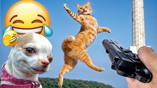 The FUNNIEST Dogs and Cats Shorts Ever 😻🐶 You Laugh You Lose 🤣Part 20