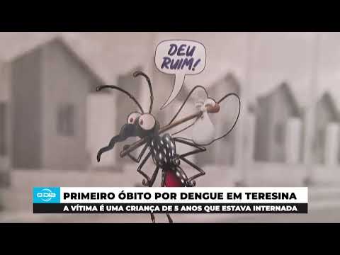 Criança de cinco anos morre por dengue em Teresina (09 05 24)