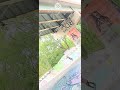 carvin hard/rock to fakie/fs willy/square bowl section/fdrr!please subscribe thank you!!#fdr #skate