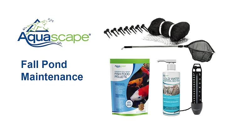 How to Prepare and Maintain Your Pond for Fall