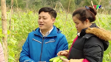 PHÁT HUY VAI TRÒ CỦA HỢP TÁC XÃ