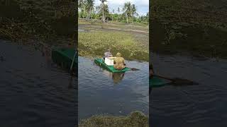 with just simple tools they get a lot of results #usa #fishing #trending Details