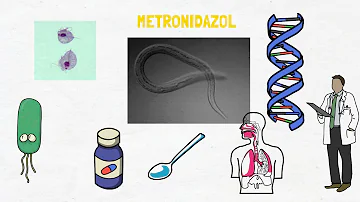 ¿Qué bacterias mata Flagyl?