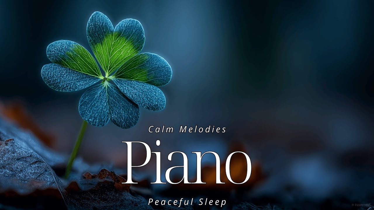 Soothing Piano for Deep Sleep & Stress Relief | Calm Melodies - YouTube