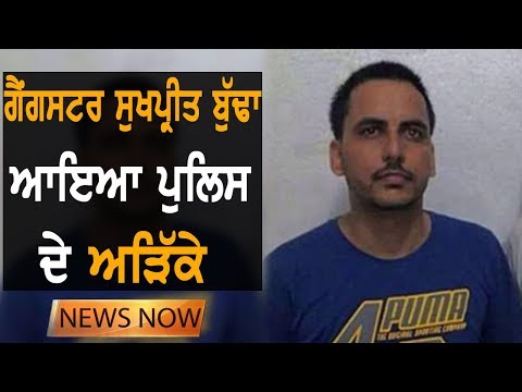 ਪੰਜਾਬ ਪੁਲਿਸ ਨੂੰ ਮਿਲਿਆ `ਬੁੱਢਾ` | News Now