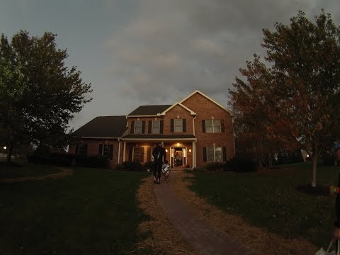 რატომ ამერიკა? როგორ და რა პროგრამით?