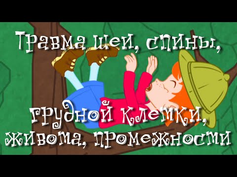 Травма шеи, спины, грудной клетки, живота, промежности - Неотложная помощь - Доктор Комаровский