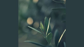 Refined Backdrops for Autumn Power