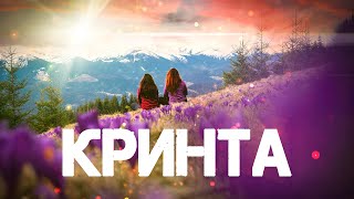 КРИНТА💥 Крокус і Шафран🌷 ГУЦУЛЬСЬКЕ ПОВСТАННЯ