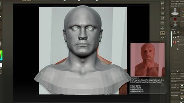 Simple principle modeling and texturing photorealistic head in zbrush 3.5 pt2