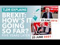 How's Brexit Going? (Five Years Since the Referendum) - TLDR News