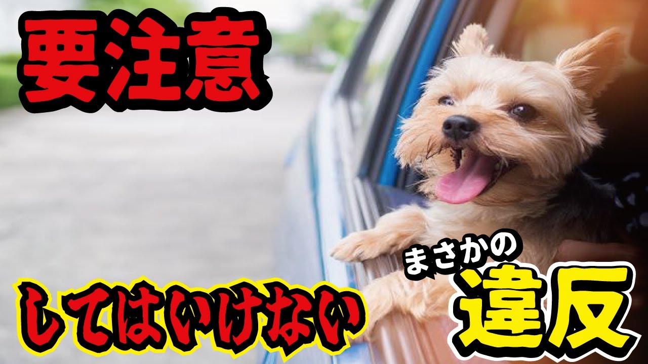 【違反者講習】運転免許の学科試験！実は違反になる運転行為10選☆