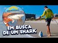 NEW SMYRNA BEACH EM BUSCA DE UM SHARK