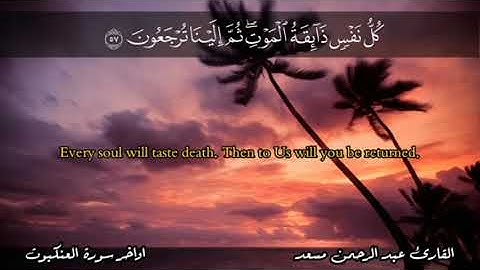 ما تيسر من سورة العنكبوت / أرح قلبك، ♥️ وبالك / عبد الرحمن مسعد