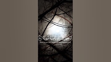 " يا أيتها النفس المطمئنة " تلاوة مميزة - الشيخ رعد الكردي 🤍🤍