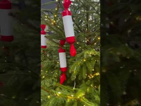 Новогодний Зеленоградск #kaliningradlive