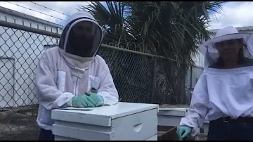 Virtual Bee hive Tour with UF/IFAS Extension in Seminole County