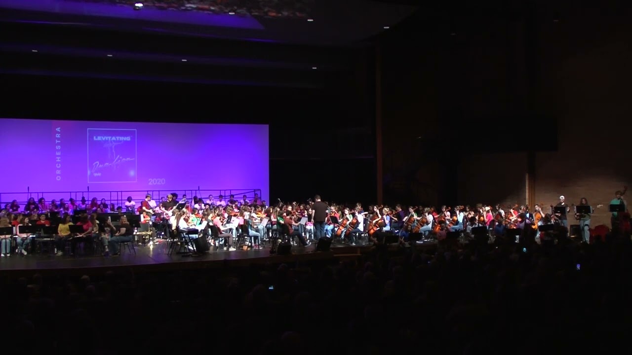 Levitating by Dua Lipa - Williamsport Area High School Orchestras 2024