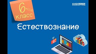 Естествознание. 6 класс. Процессы в живой природе /22.01.2021/