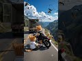 cat and birds short status #zahoorabirjis
