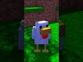 NON UCCIDERE QUESTO POLLO SU MINECRAFT #shorts