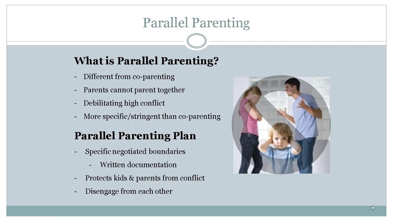 section-7-consider-a-parallel-parenting-plan-youtube