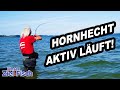 HORNHECHT AKTIV mit SBIROLINO an der OSTSEE - Unser Ziel ist Fisch mit Jörg Ovens - Die Angelschule