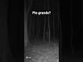 ERA PIE GRANDE? #miedo *#terrorymisterio #leyendas #paranormal