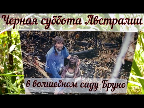 ⁣Черная суббота в волшебном саду Бруно