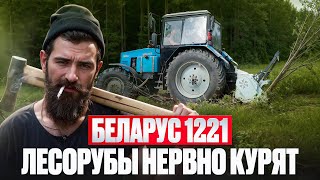 видео: Лесорубы нервно курят. БЕЛАРУС 1221 с мульчером NIUBO картинка: Лесорубы нервно курят. БЕЛАРУС 1221 с мульчером NIUBO