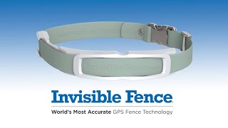 Invisible Fence® Brand GPS Fence Collar