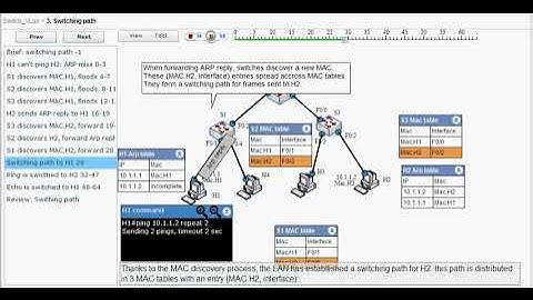 Switch Simulation - Animate switching paths: switching, flooding, discovery.  (3)
