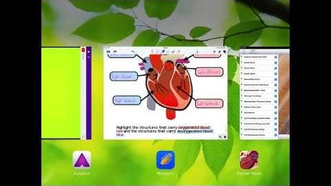An Example of Workflow for iPad-based Homework