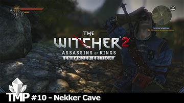 The Witcher 2 Let