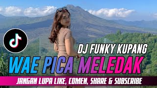 DJ WAE PICA MELEDAK FYP !!! (DHANY HABA) FUNKY KUPANG
