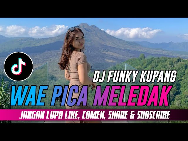DJ WAE PICA MELEDAK FYP !!! (DHANY HABA) FUNKY KUPANG class=
