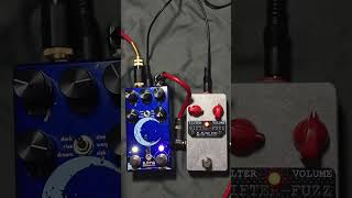 Walrus Audio Slötvå x Ivy Pedals Sifter Fuzz #PedalDemo 3/3 #guitarpedals #reverb #fuzz #pedalboard