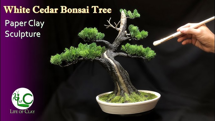 COMO HACER BONSAI ARTIFICIAL 