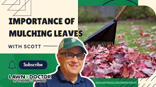 Top Fall Lawn Care Tips 🍁 Get Your Lawn Ready for Winter!