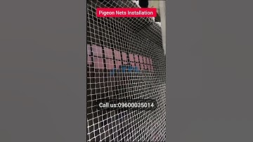 ✅ #Pigeon Nets Installation Near Me | Best Bird Control Solutions | YPL Safety Nets
