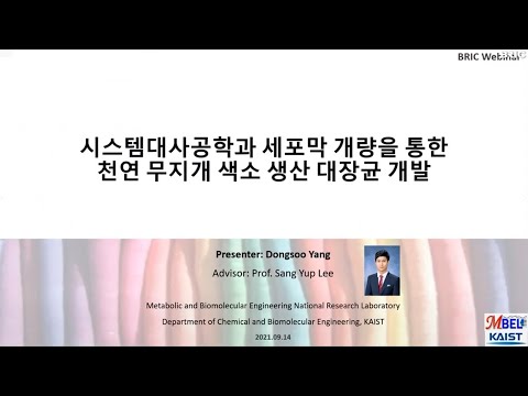 시스템대사공학과 세포막 개량을 통한 천연 무지개 색소 생산 대장균 개발