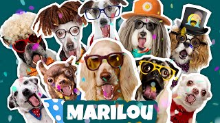 JOYEUX ANNIVERSAIRE MARILOU - Chanson drôle par une meute de chiens déjantés 🎉