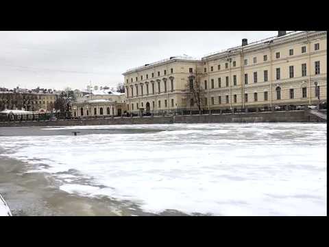 Что за жесть ПИНГВИН В НЕВЕ!!!В Санкт Петербурге живут пингвины?????