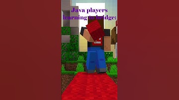 Minecraft Bridging Java vs Bedrock #shorts