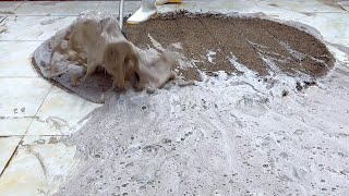 Extremely dirty shaggy carpet  Cleaning Dirty carpet  ASMR satisfying video