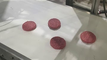 Fresh Burger Pick and Place