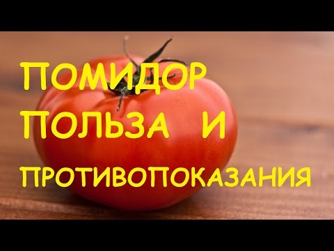 Помидоры. Польза и вред для организма.